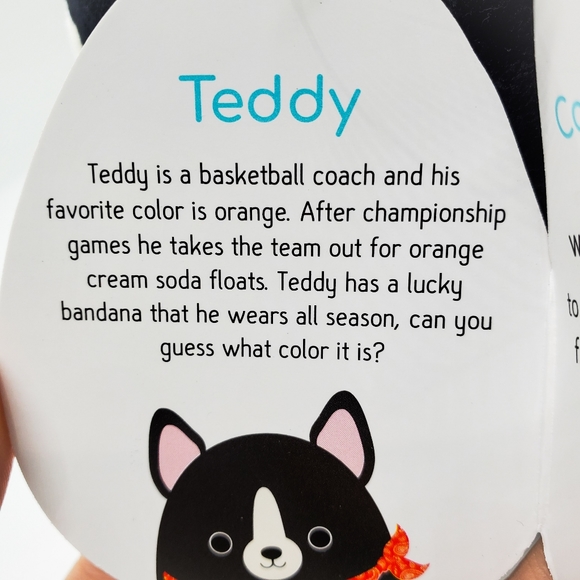 red bandana squishmallow